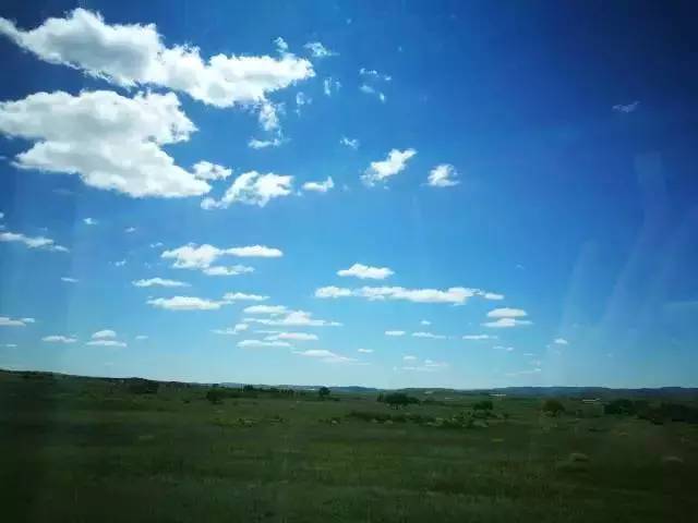 困困狗， 如果是困困狗网络梗或表情包