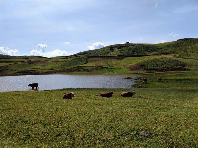 火影忍者同人动画在线观看