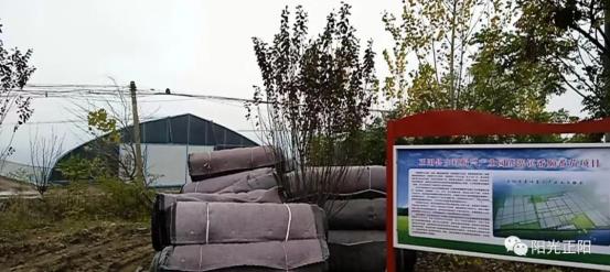 动画改编 动画改编但源自小说构思）