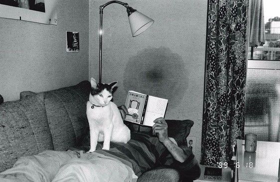 十大免费软件污 费软追求“够用即可”