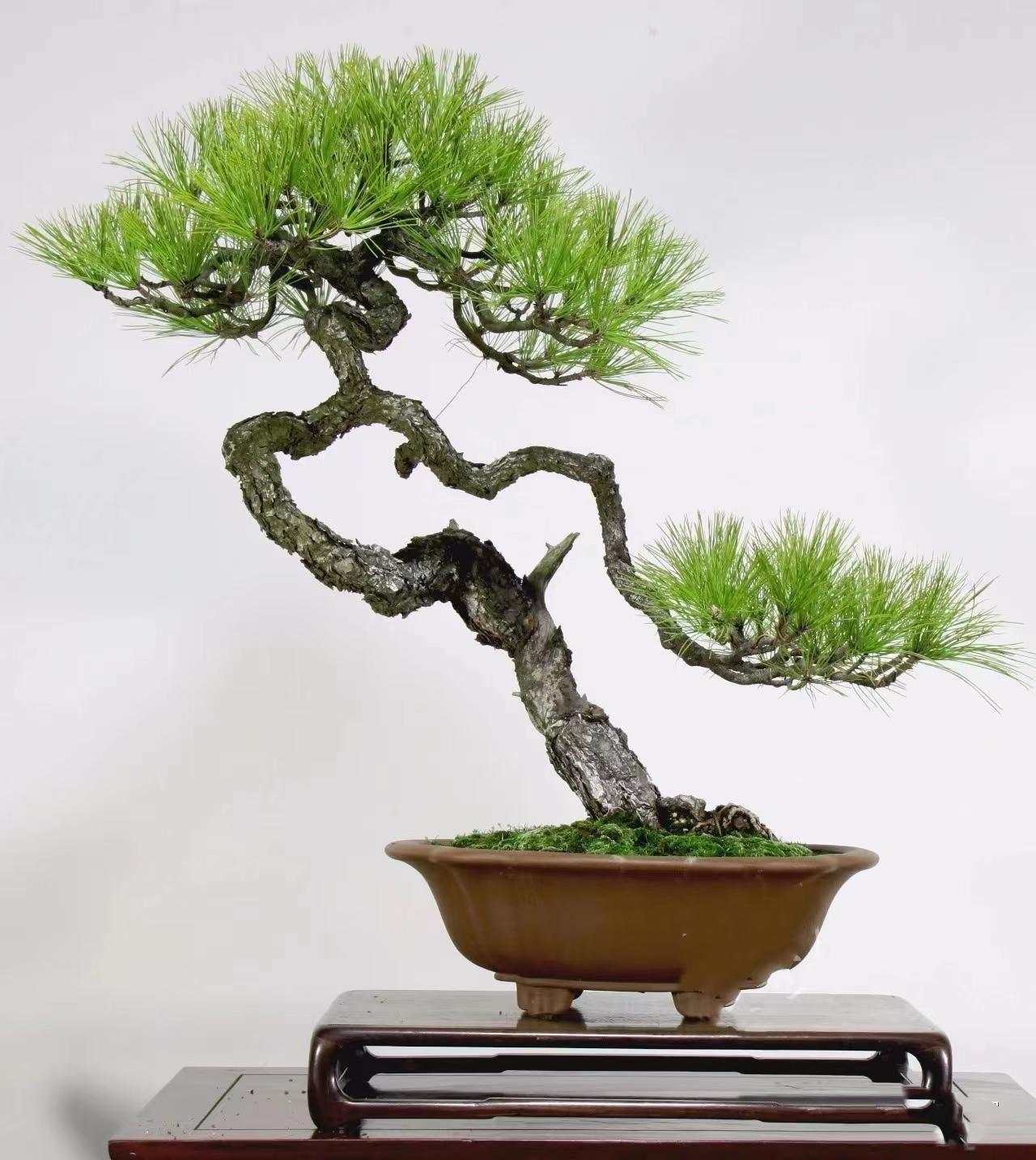 精品成品国色天香卡一卡二