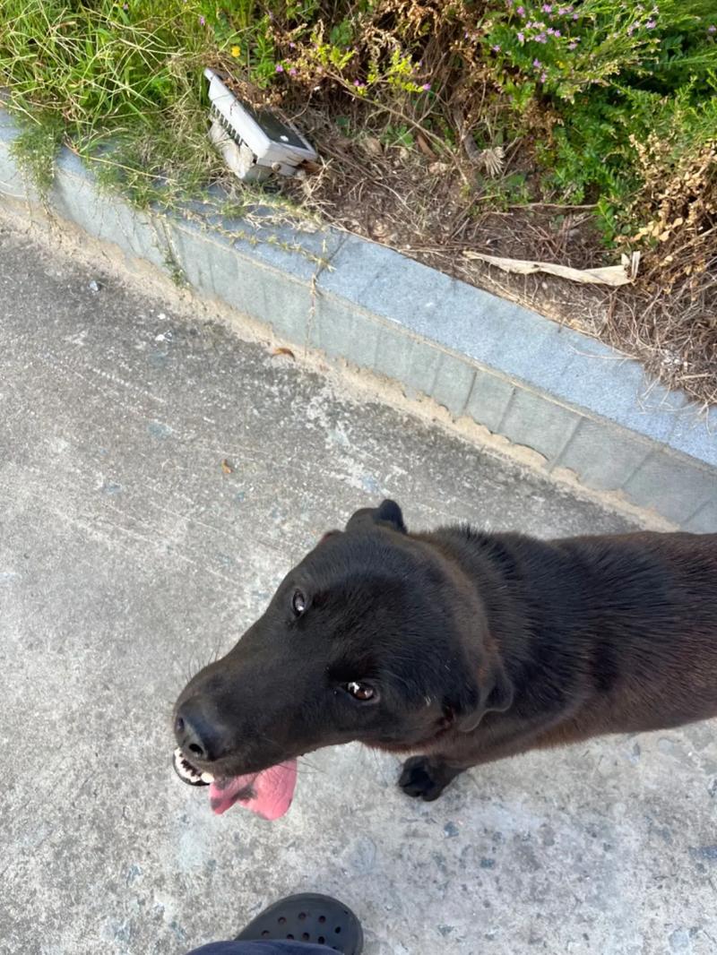 m豆传媒剧在线 传媒社群互动）相对薄弱