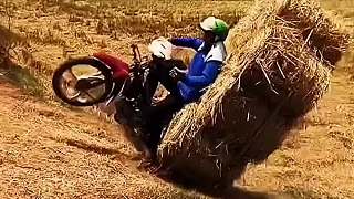 一日寸止 寸止：源自日语（寸止め）