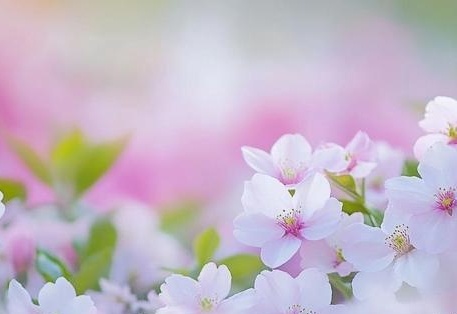 吃瓜黑料在线网页