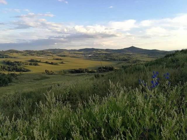 不道德行为影片在线