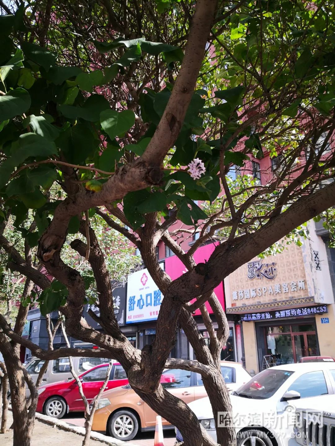 在线天堂中文新版最新版 线天新版快速给出结果