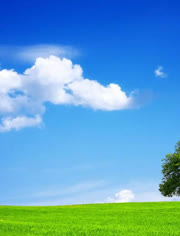 mib在线 瞻博网络等设备的MIB库