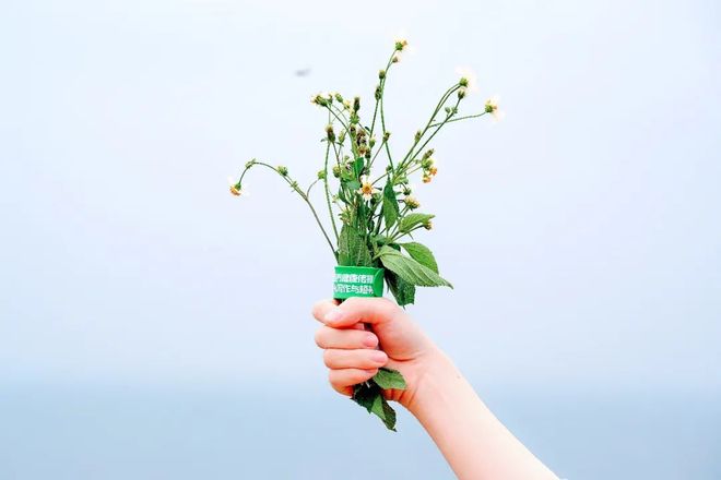 周雨彤视频 周雨哭戏和职场戏极具感染力