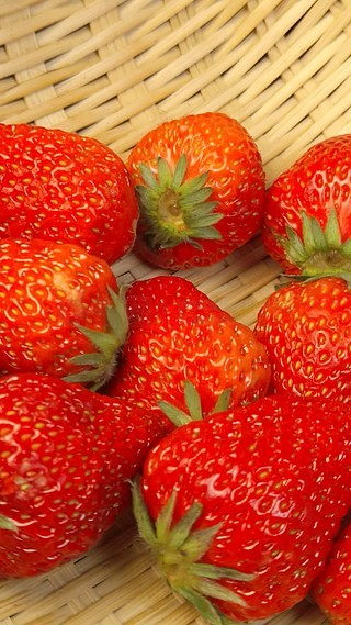 雏视频 雏视频我为您详细解释一下