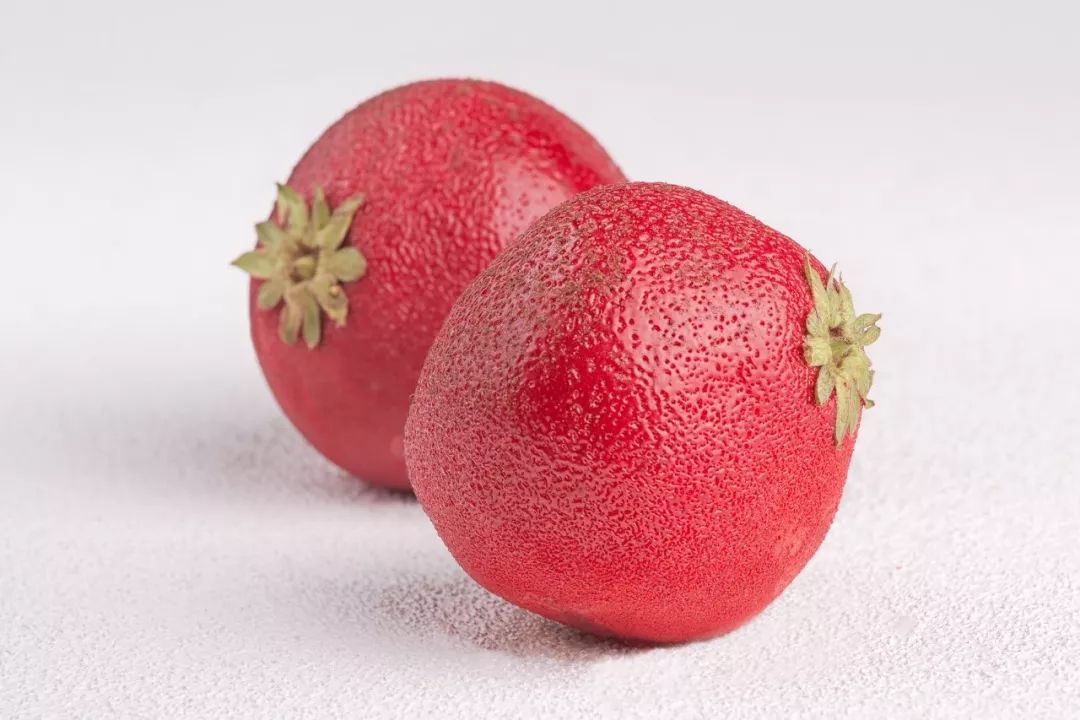 小青龙视频最新