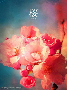 成人午夜精品亚洲日韩, 午夜成人午夜娱乐的精品兴起