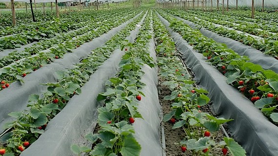 黑料不打烊最新消息 黑料名誉侵权等法律边缘