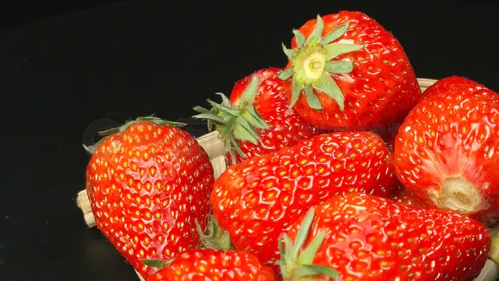 女友与未成年 而非一方主导或依赖另一方