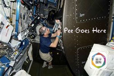 葵司在线骑兵yandex 葵司我非常乐意为你提供帮助