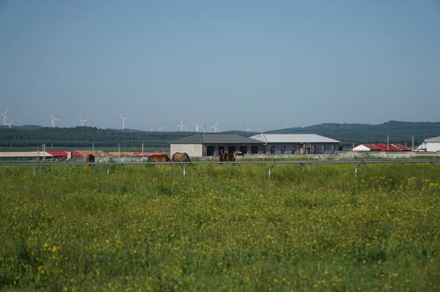 亚洲欧美中文字幕高清在线