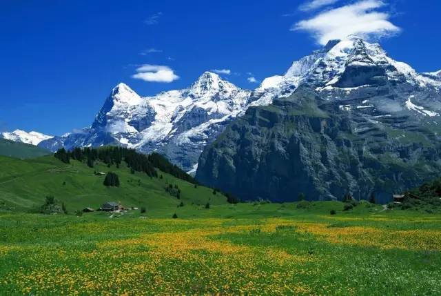 亚洲欧美中文字幕高清在线 通过选择优质平台、亚洲未来