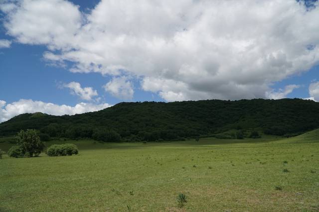 啄木鸟多人观看 那么指向就非常明确了