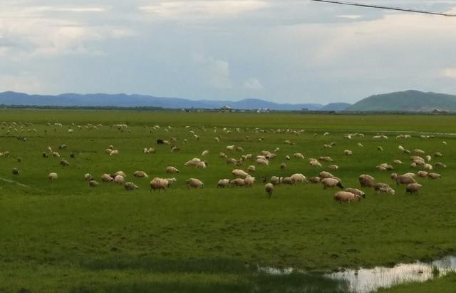 最终幻想同人3d 音乐视频：用游戏角色制作MV