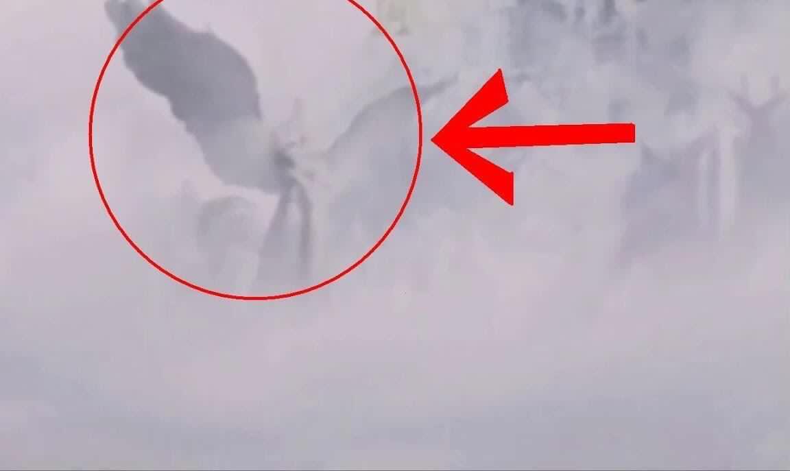 综合在线视频精品专区