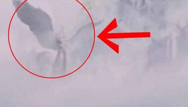 无码一卡二卡三卡四卡 无码四卡优势分析业务数据