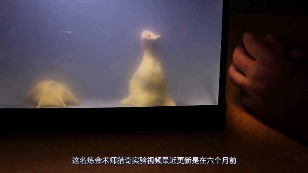 younv在线 如果您或您周围的人需要帮助