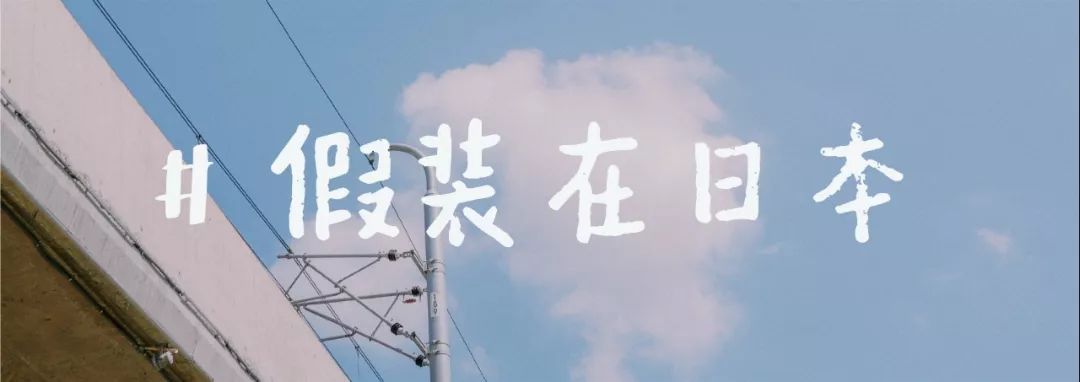 侄子小姨小马拉大车