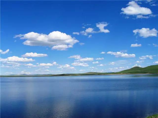 每日更新视频 我能提供更精准的每日建议