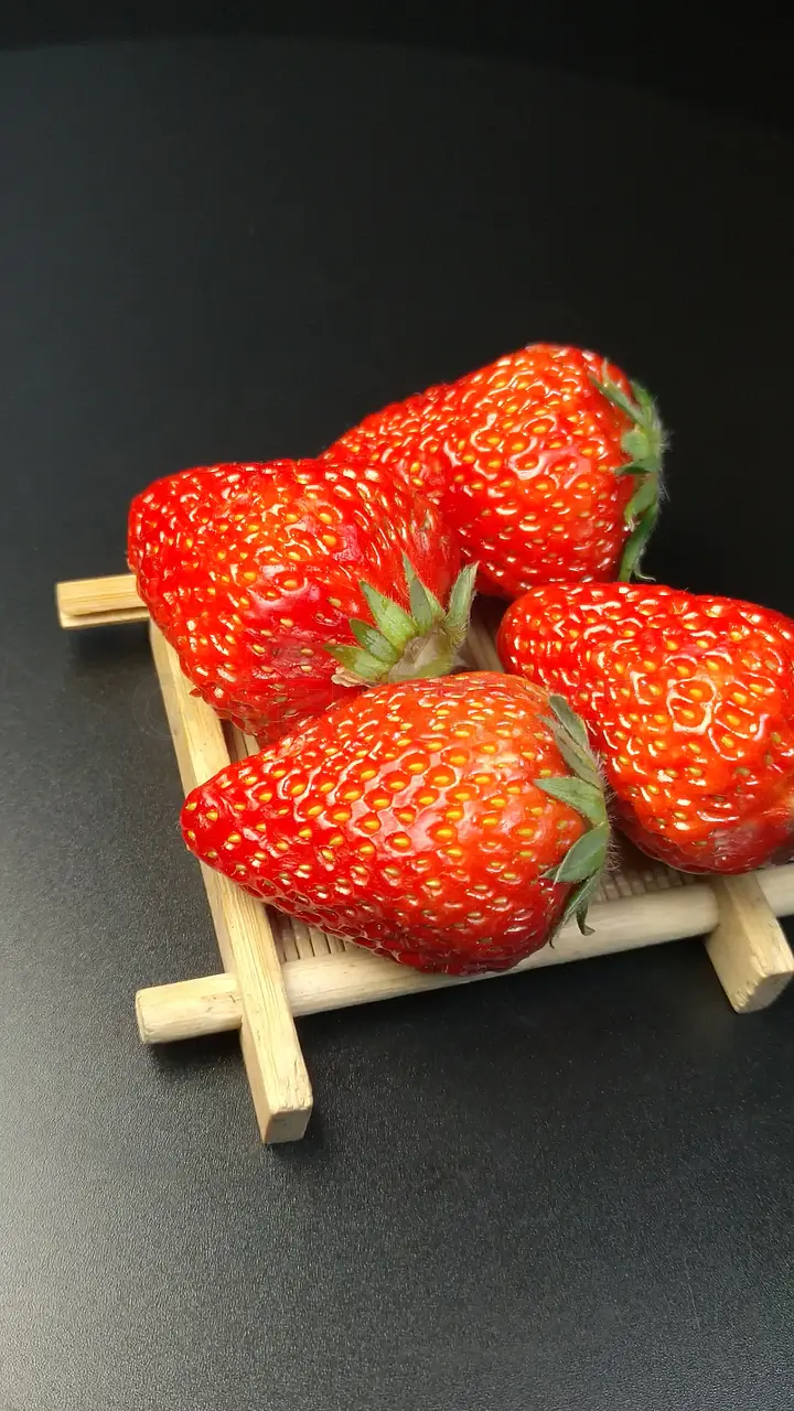 一本久久a精品一合区久久久