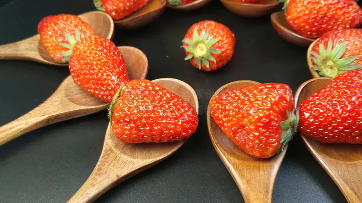 尤物视频不迷路 视频共同维护清朗网络空间