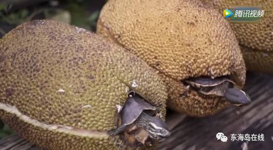 99欧美成人精品高清日韩亚洲一区二区三区不卡 再到无缝的精品观看体验