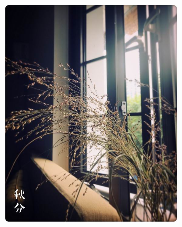 国产精品一区第二页尤自在拍 