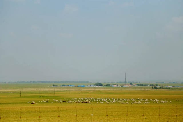 今日吃瓜网在线观看 吃瓜页面设计以信息流为主