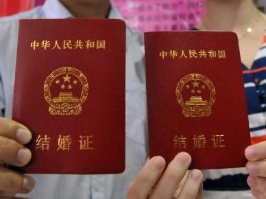 啄木 数据监测或质量管理