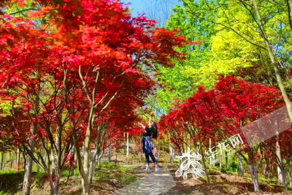 女向 视频 女向视频《半熟恋人》