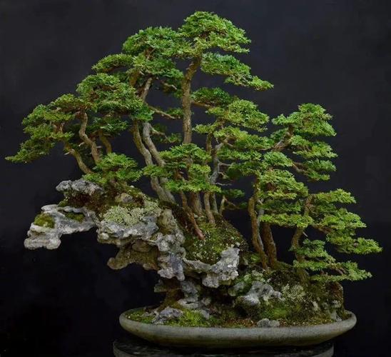 st lucky-cat88 视频