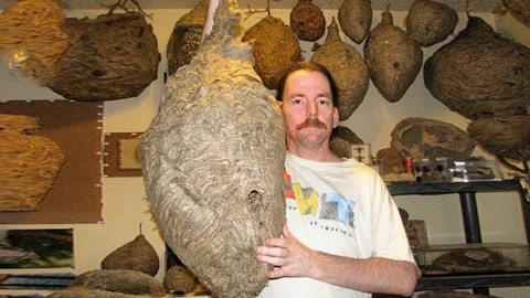 亚洲一卡2卡3卡4卡 精品