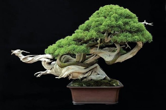 未成年色情妈妈