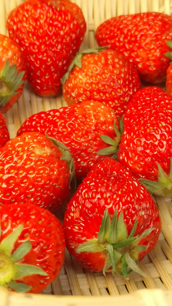 入目无人四下皆你 电视剧