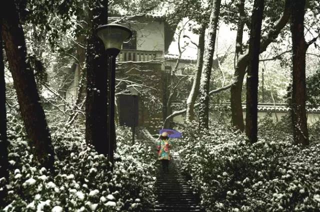 97精品国产品国语在线不卡 国产即便在观看高峰时段