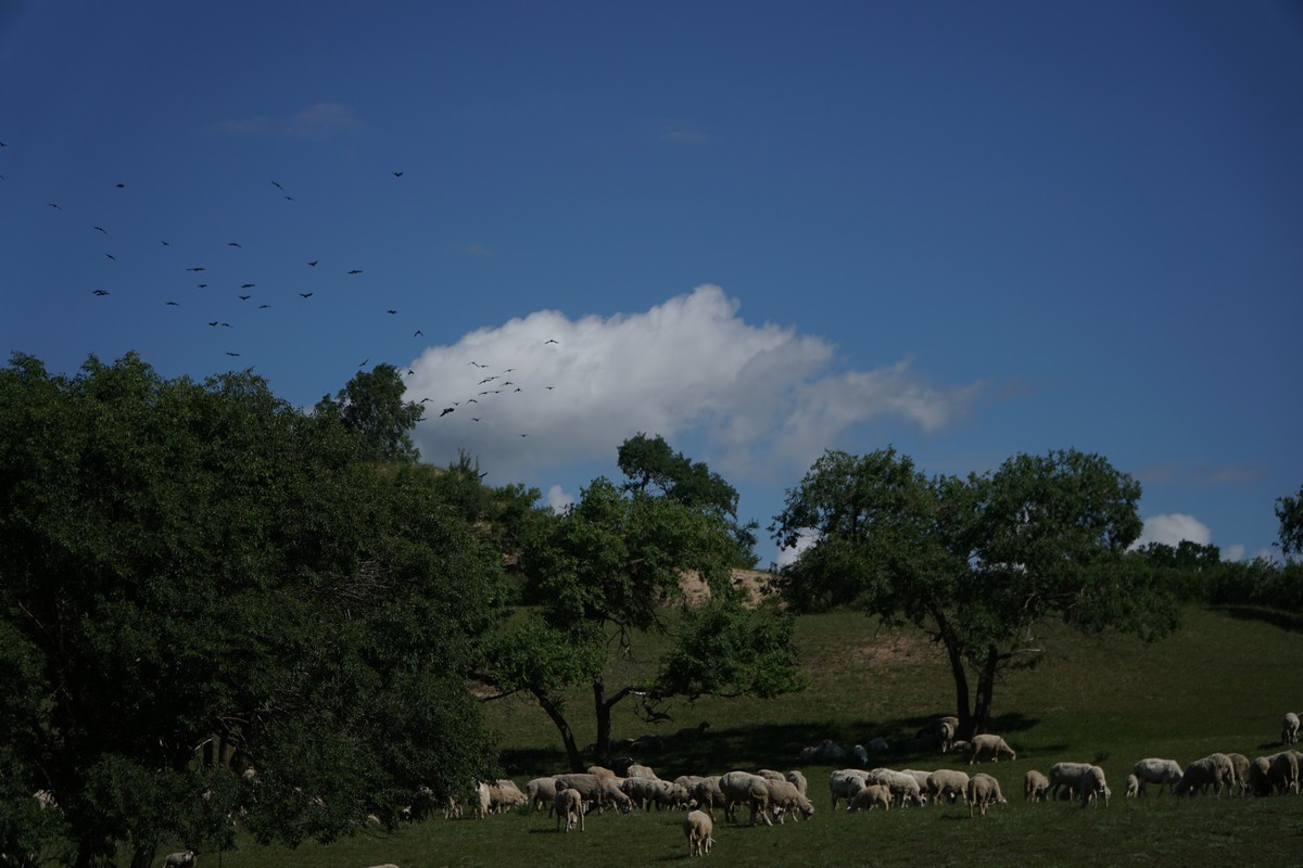 黑料百科每日大赛 与纯娱乐竞猜平台相比