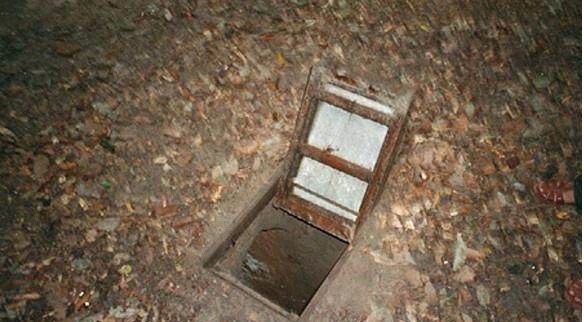 主播杨小花 好书推荐及休闲游戏实况