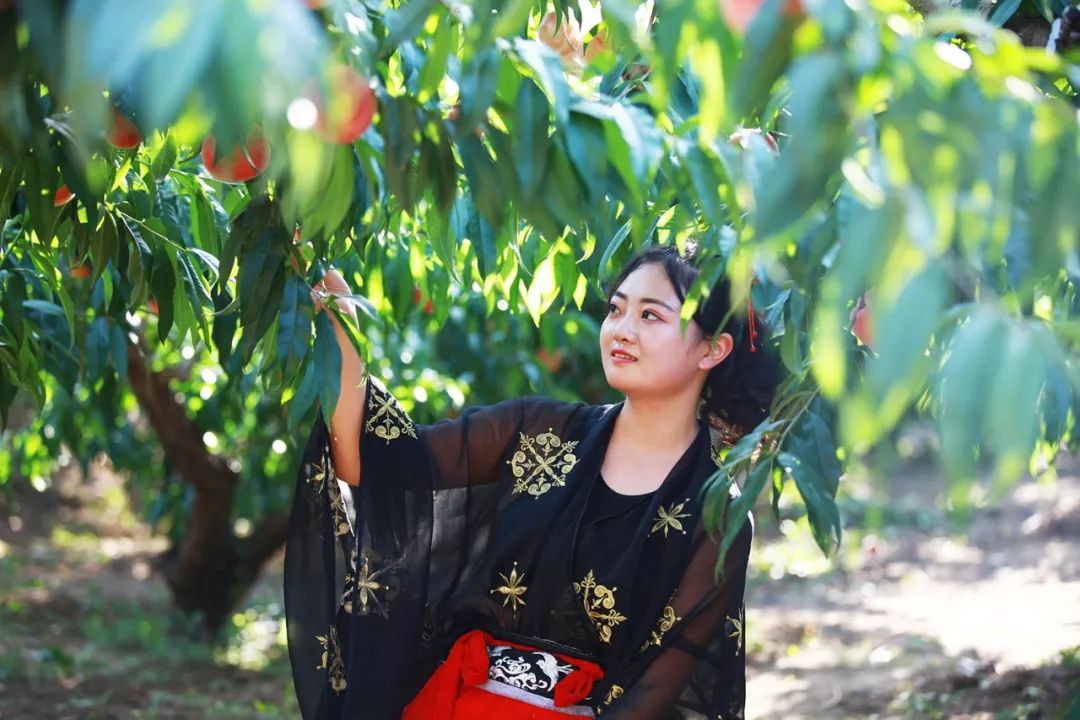 69动漫 动漫如果你有其他问题