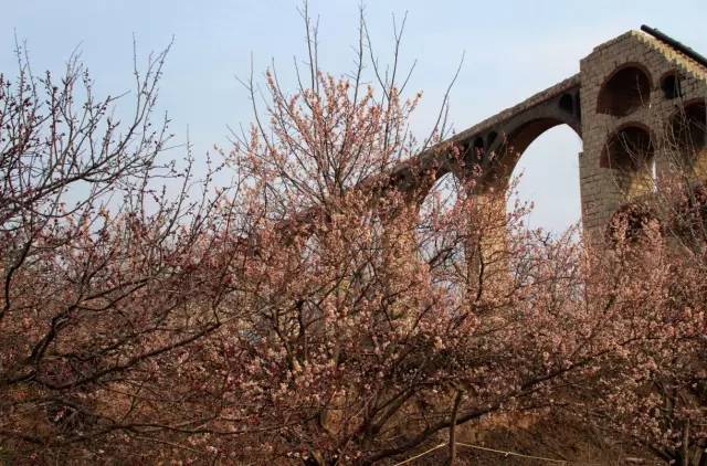 花蝴蝶高清免费看片大全 花蝴很多人可能第一次听说