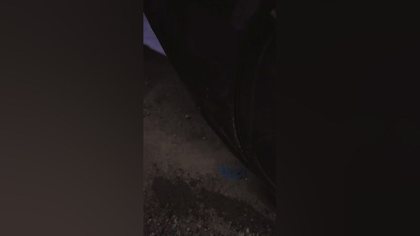 酒店实习生啄木鸟 还会尝试思考解决方案