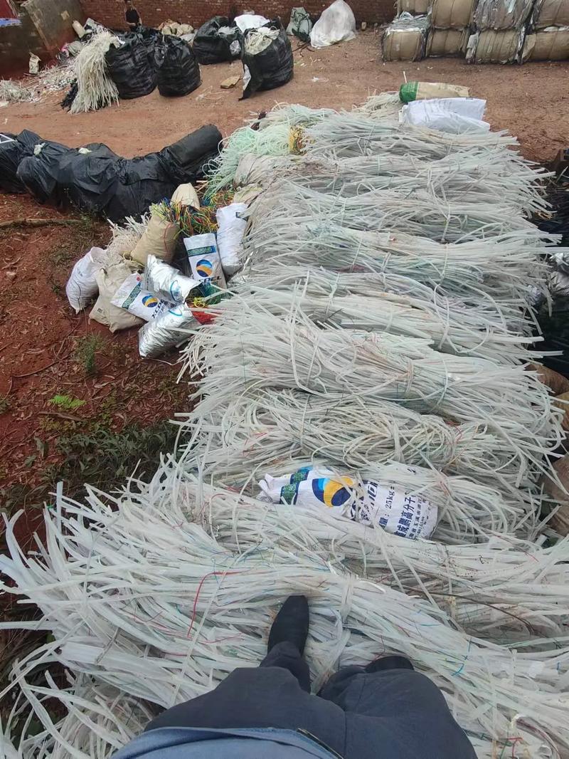 刺激伊在人线香蕉观看 健康问题也不能忽略