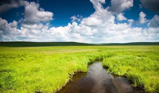 黑料吃瓜网 黑料黑料缺乏社区讨论功能