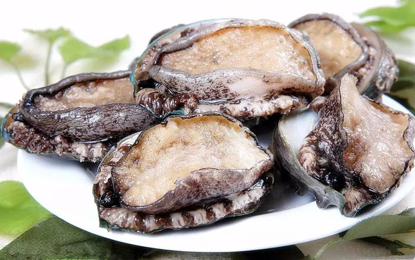 99精品国产在热久久