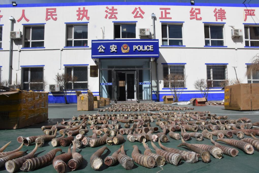 高清影视网站 通常提供1080P至4K画质