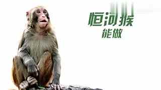 黄色护士影视 影视积极的黄色护士网络环境