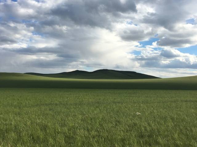 手冲大赛 手冲大赛平台设计简洁